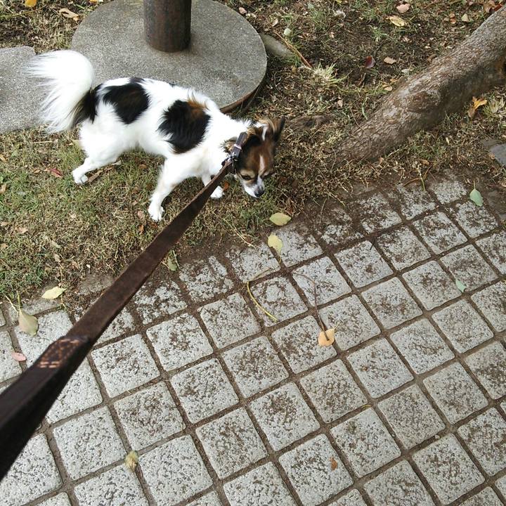 42618ef3 52ed 43e5 accb cc7985d1c13f