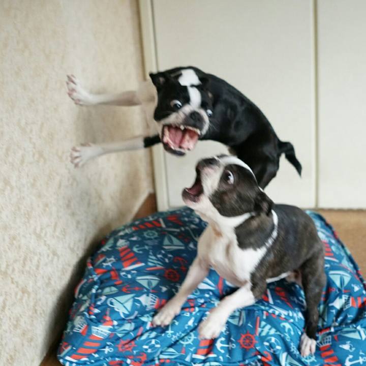 4261a8e7 4f38 498c 8ba2 be48c6f9ed5f