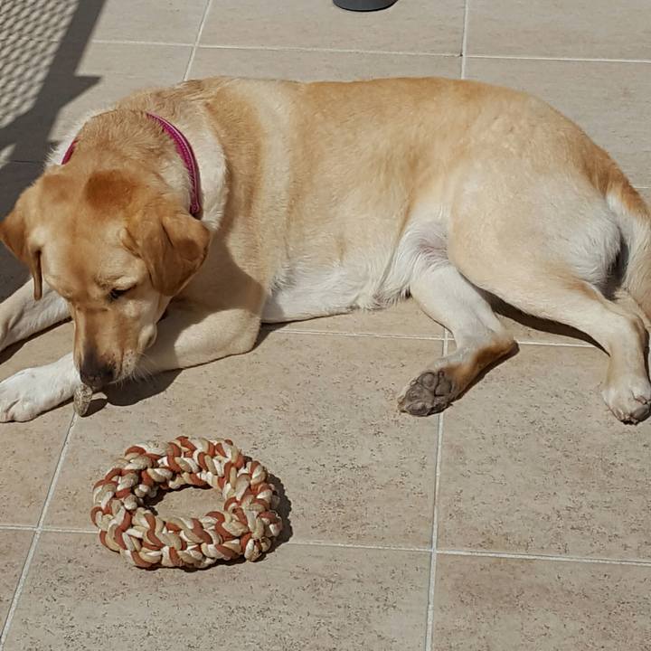 42621bcf a52a 4d5f 82bd 7dd1d15248ca