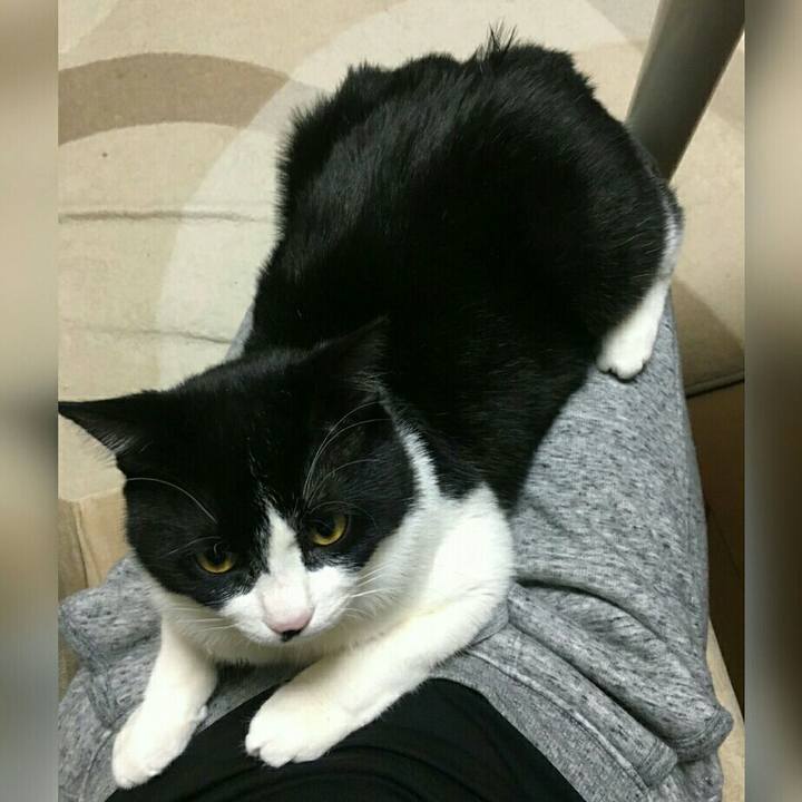 4262e291 88fd 4f48 a289 59b3af9e6c2a