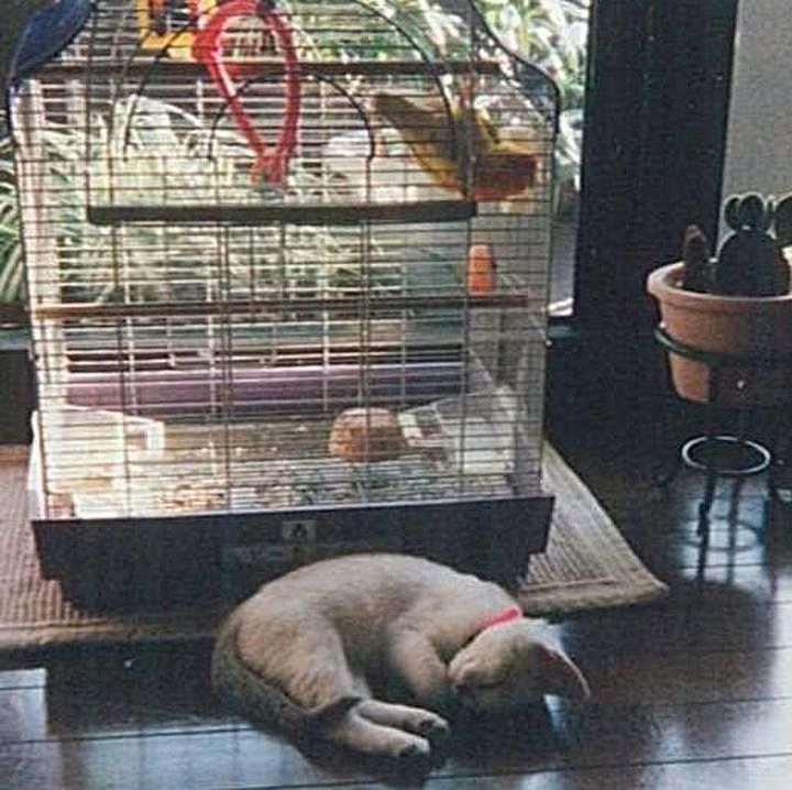 42643649 25c3 44dc aa4b 7f6333f2d5dd