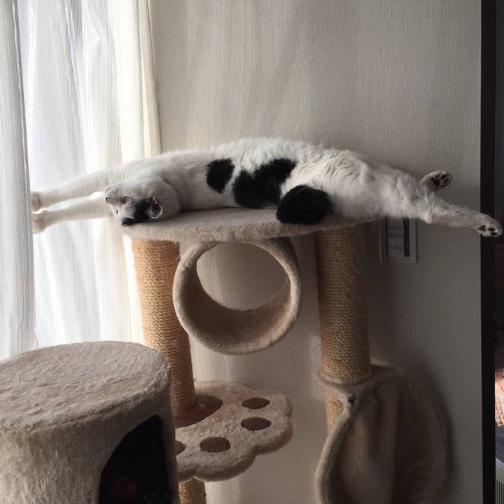 42654f91 7d76 485b 9481 9fa867e80412