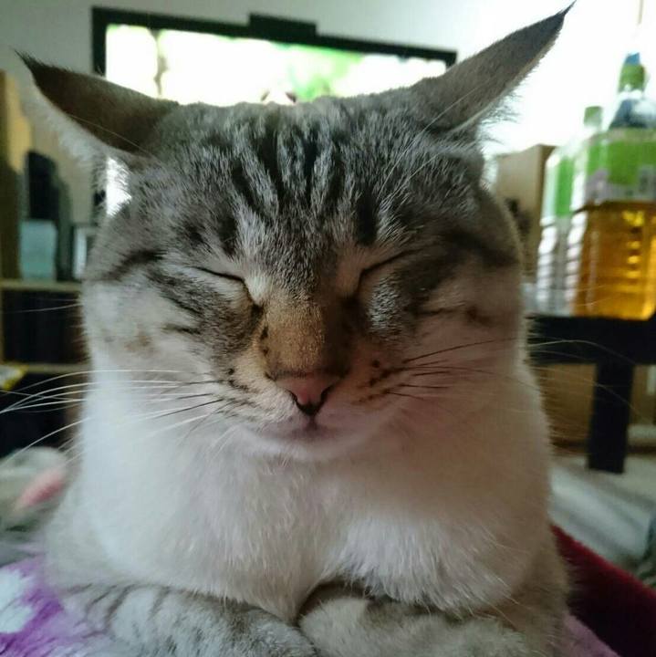 4265fccf 8d1a 4a65 ae0e 2d45dc4f1f11