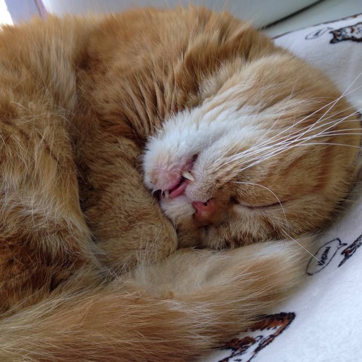 426649d4 b064 4256 9ee1 26cbe38868fd