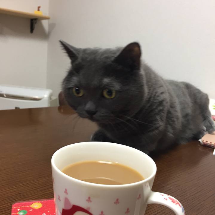 42670888 f6ed 4a1f b503 f2228f991474