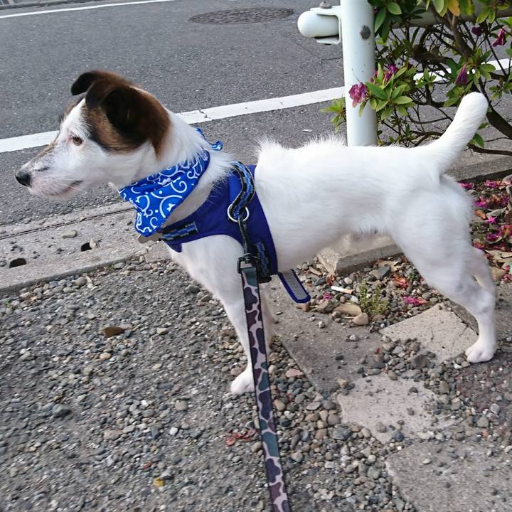 42688d40 2027 4aea 8151 2816b11e92fd