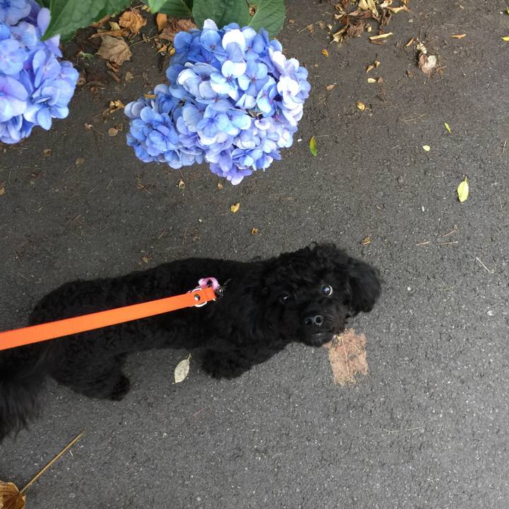 42693bc0 9b3b 4bda 93db b6142839c98e