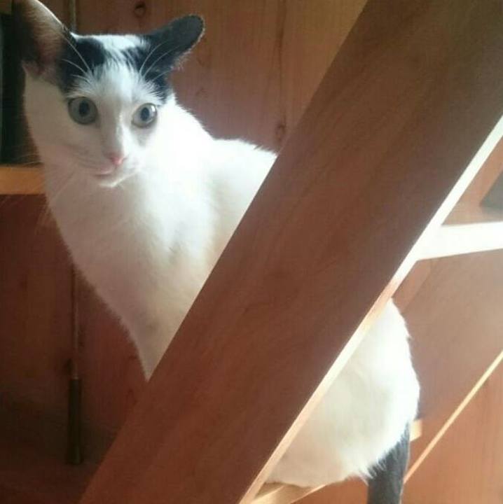 4269ab33 8343 48fb 9b47 fccece74614e