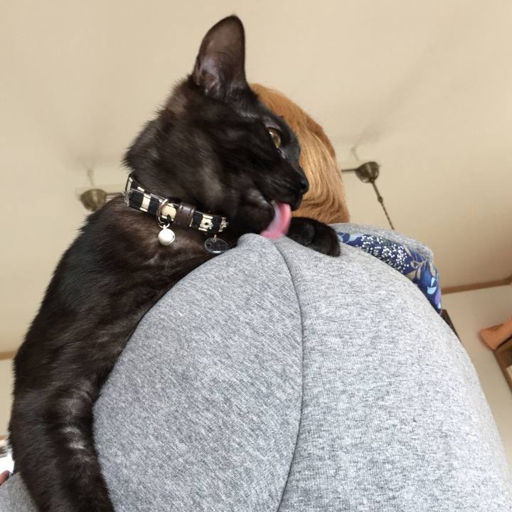 426a3b88 0a32 4209 99d4 2790bd4c84cc