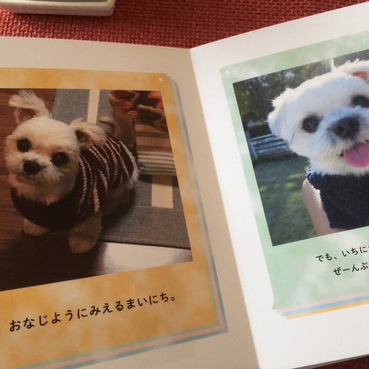 426aecc9 6fc5 4507 b540 e3bca09b3aeb