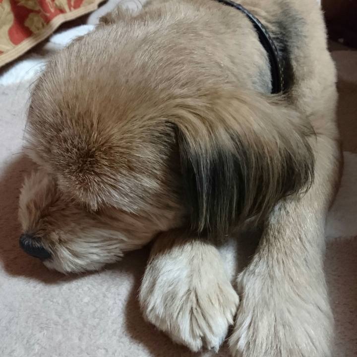 426b34a4 1e54 45ee 9457 ee216b6df9e8