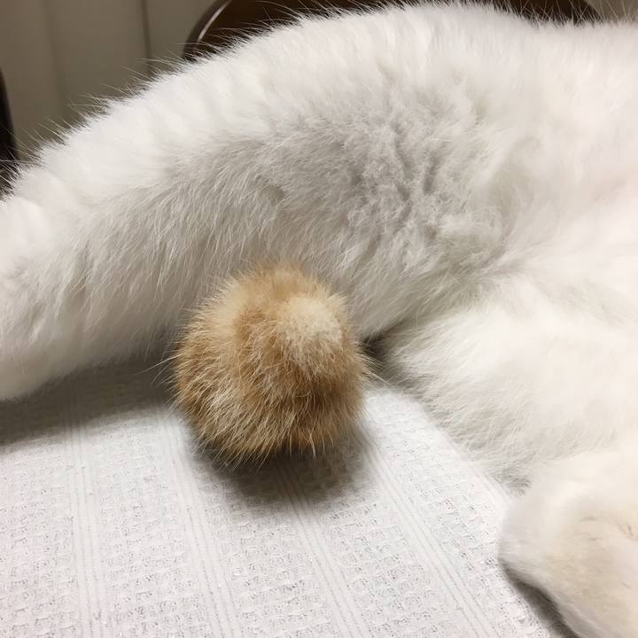 426b9dc7 45d6 4e40 ba9c 3d3d073a76f8