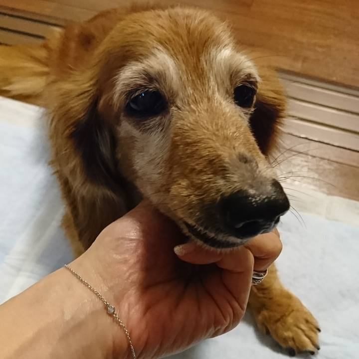 426ba345 b339 45c2 b11e 3dc183eee583