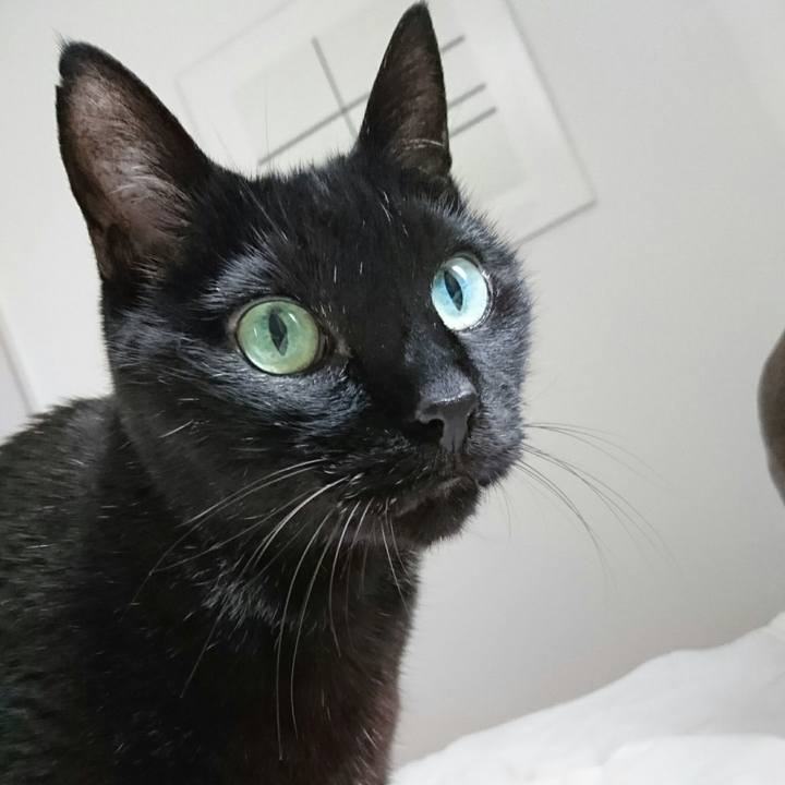 426ba9e0 600a 4db6 bb16 ce23188ac46e