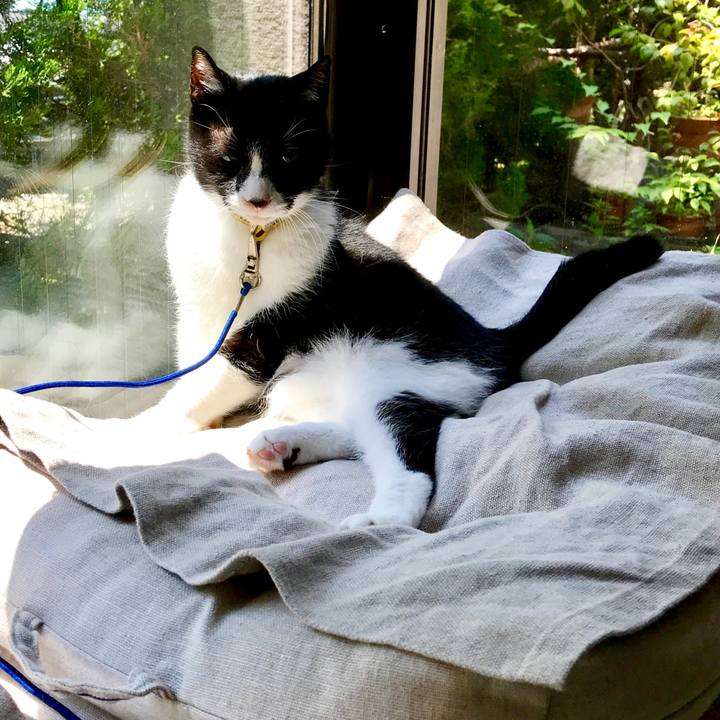 426be1dd 3a3d 4d54 94db 1c75bec7068b