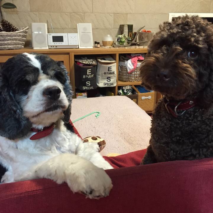 426c0705 e789 46b0 bdd9 22eab42d8387