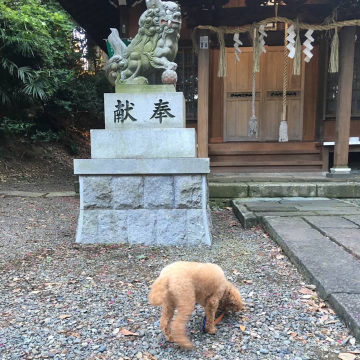 426c3dc7 9fd6 4d2a 9a69 d1388401c65b