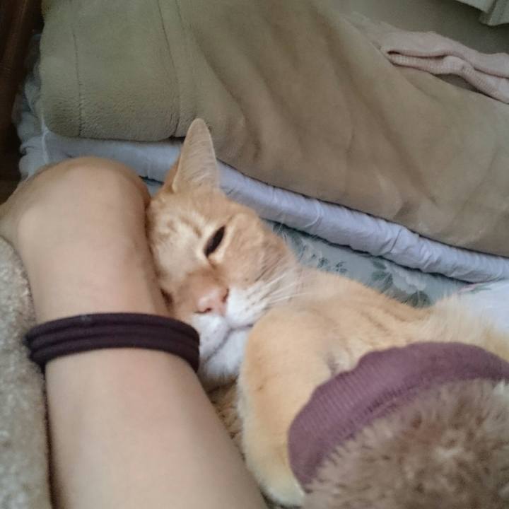 426c3f7e fd46 4948 ad01 12438f17219f