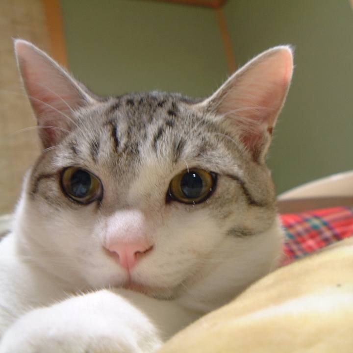 426c43f0 e707 4cf0 97b4 8133e6bb6cfd