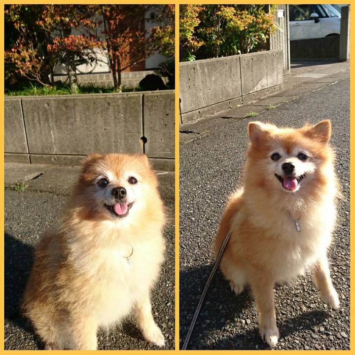 426d51d5 0701 4745 8e35 8050de6b73ef