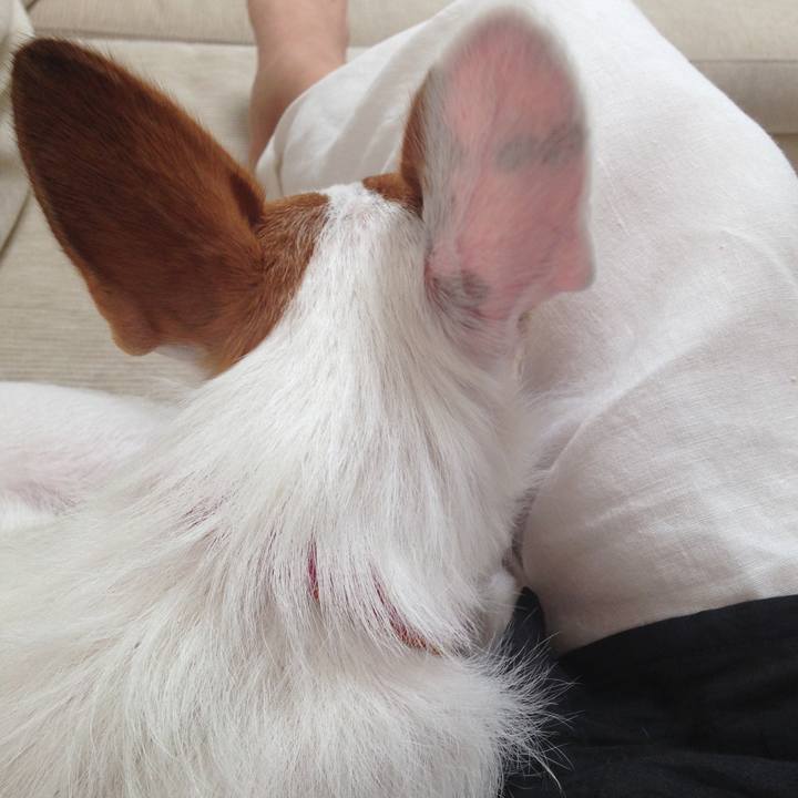 426d6b0f 3bfa 40cc acff cd6fc352b4b2