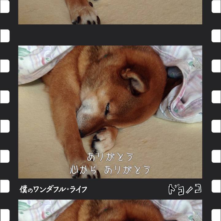 426db883 7c1f 402d b756 a445d2fadba7