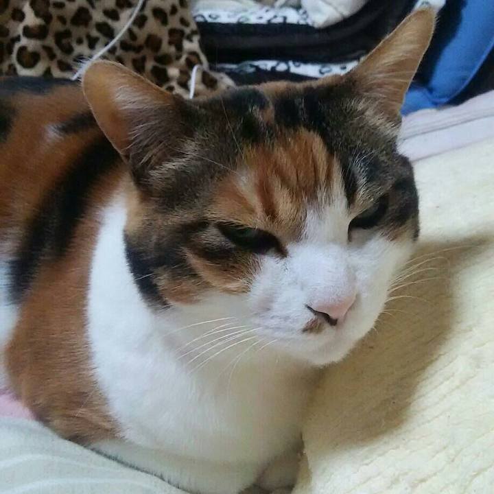 426df7ad 26e1 4376 84cc 8c87b603ecf8