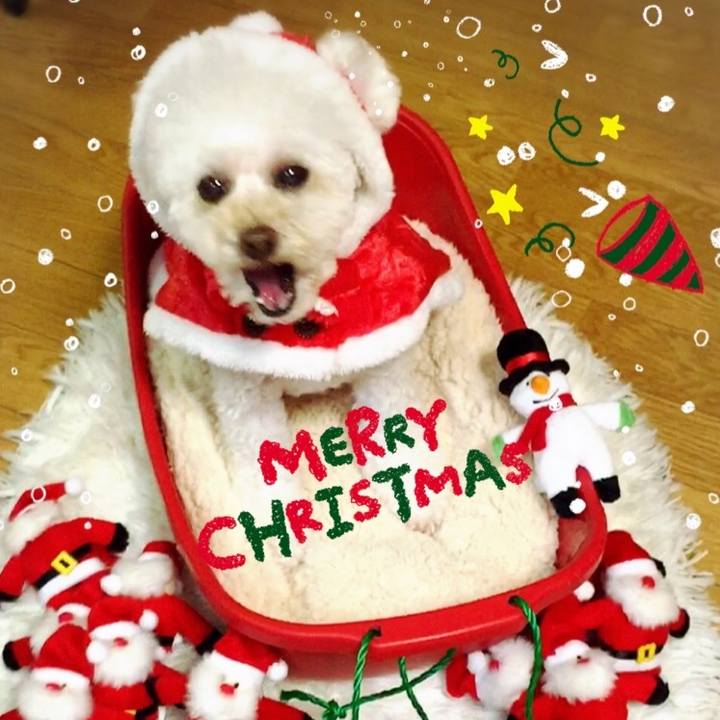 426effed dfc6 460d 998d 87c1bd3d3330