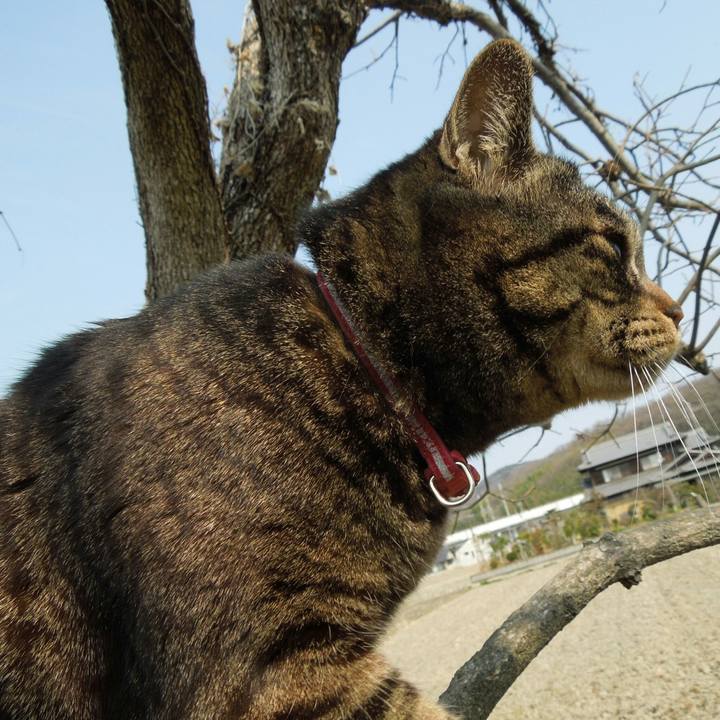 426f4227 b7d1 4a29 9070 9282cb8e4bc9