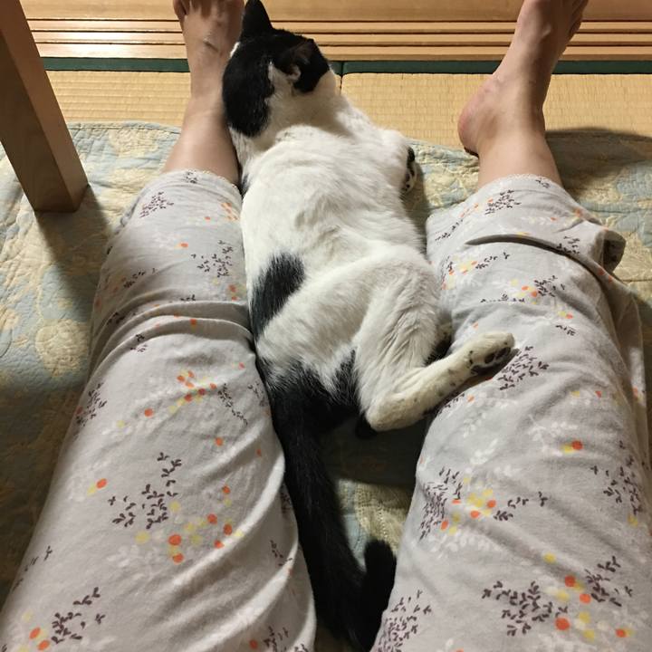 426ff2fc 51b9 4059 ae43 5eebbec24321