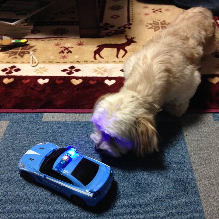 4270c0db da93 4705 ac90 c7046cdea046