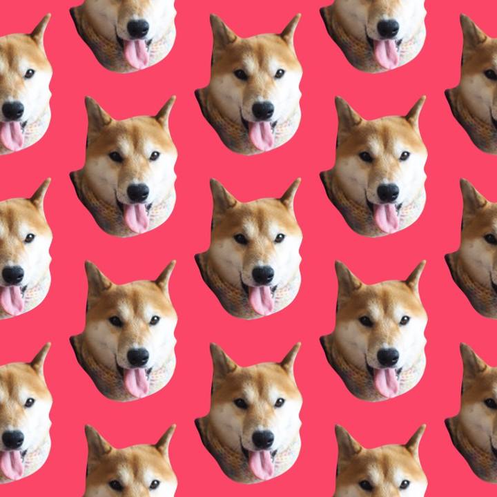 427111fb eb15 44de 97c8 67a00aefc1cd