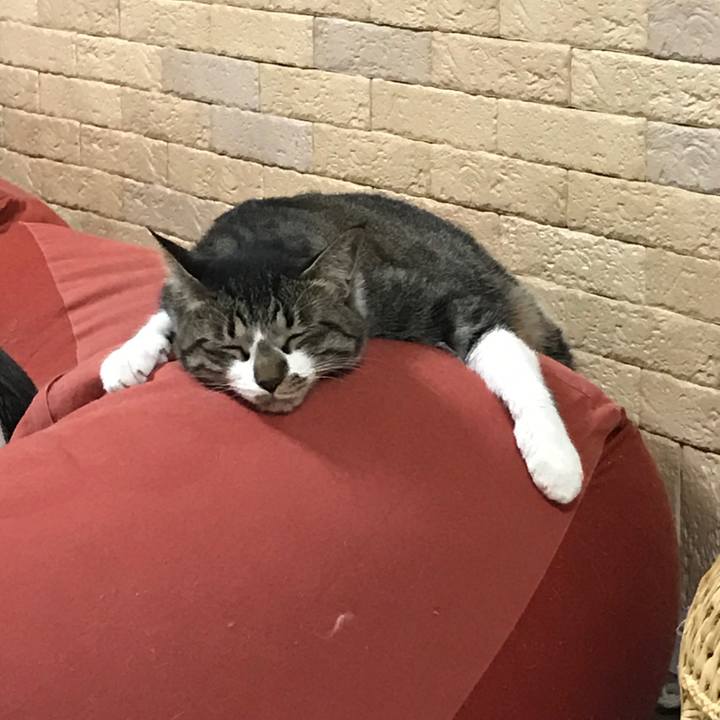 427138a7 7043 4509 a537 4f137d49bfe3