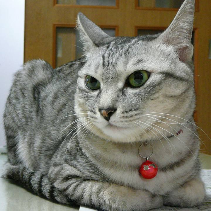 42716c83 be40 456d 8077 4d68c3a23a5a