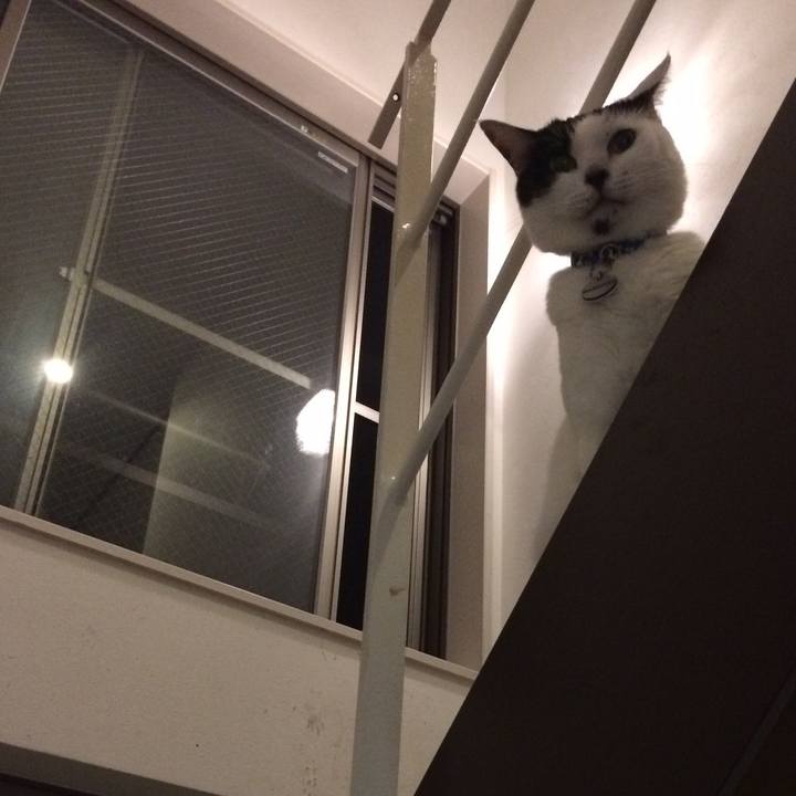 42717f1c 7225 4f99 95ca 1584e4371e6b