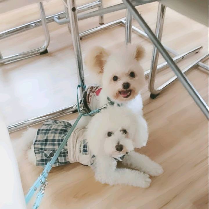 42718199 7c79 4f56 b732 bf935eb9e8df