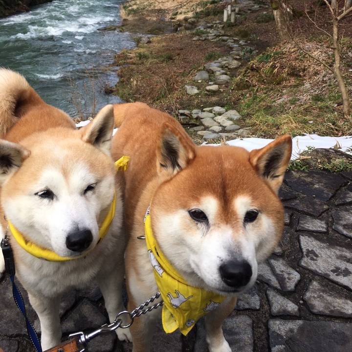 427194fb 5dc5 4ca7 9bf6 f2967c0c3894