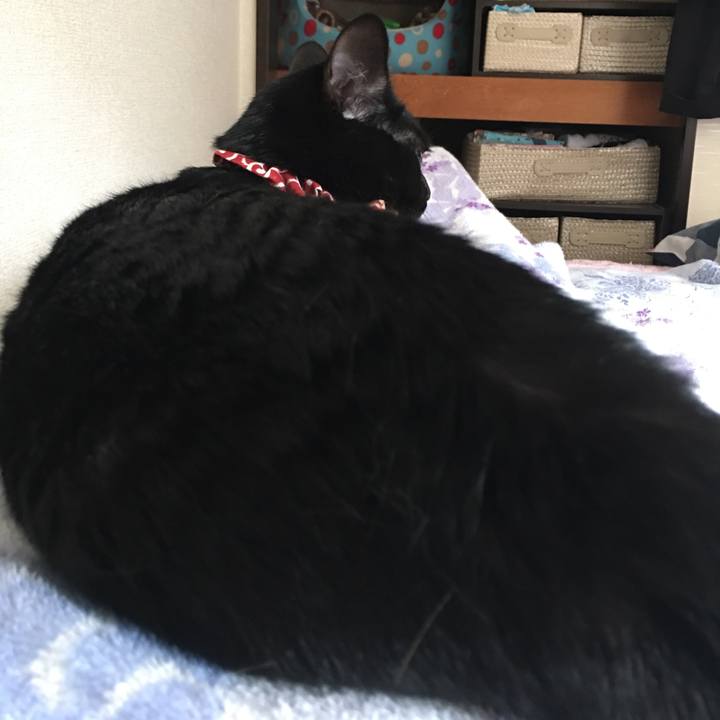 4271a4fd 285b 4775 bbd5 164e8fc748df