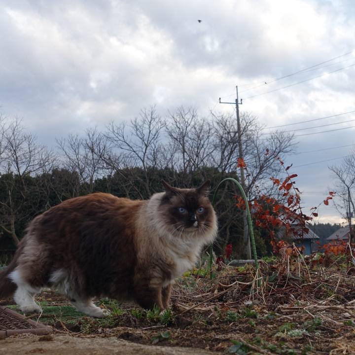 42728ef3 f530 4c54 b69e 168ac27af684