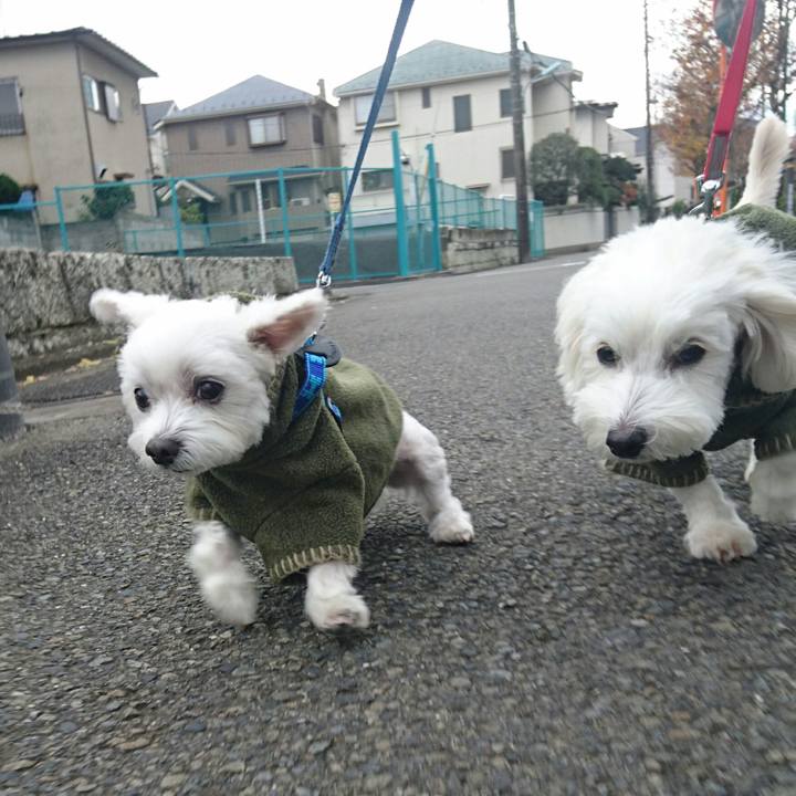 4272b66d 0894 4c78 a566 ed981fca5ab1