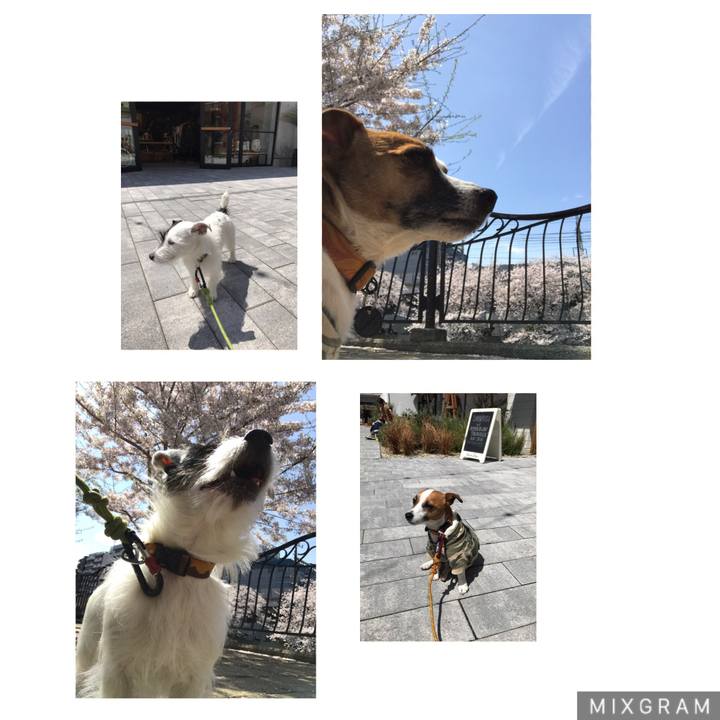 42735a48 10c5 4c3a a986 2e819374a58b