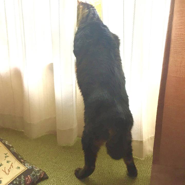 42736ece e702 4be1 bf89 058f9f049b94