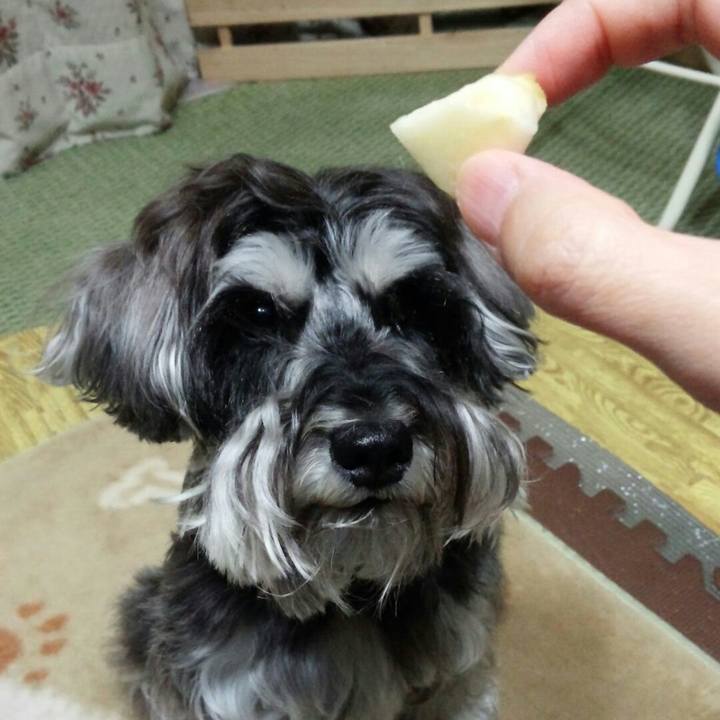 4273e167 a069 41c8 bbd9 b081d1fa4adc