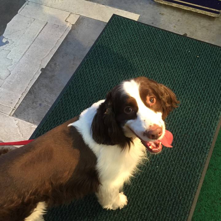 42753799 d7d0 4fbd a530 f58bc36a0d02