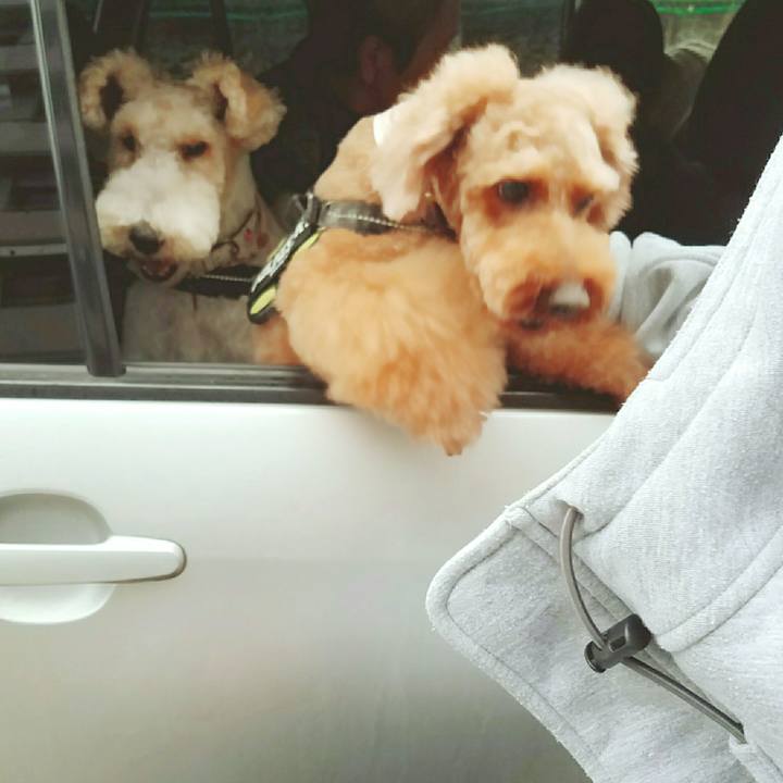 42759e21 ee32 41d2 8cc8 bc9b47a73a13