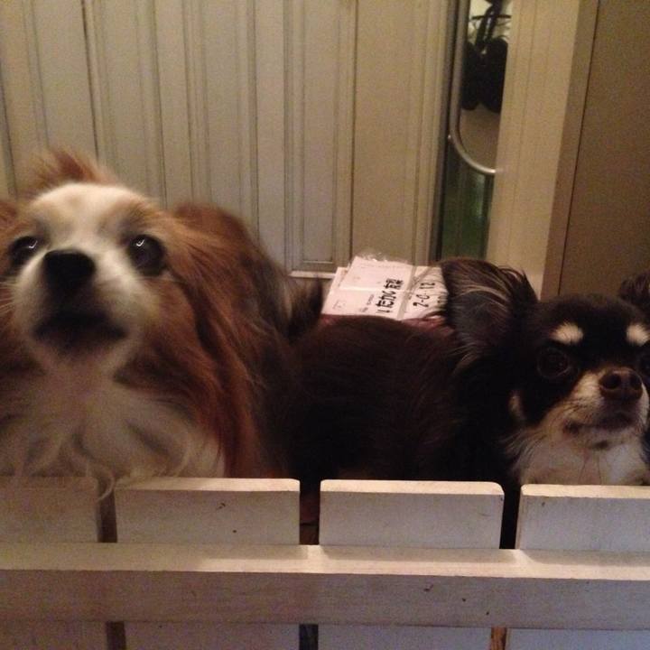 4277cef4 cc04 4e5b 9efd 5a6fc2d761e9