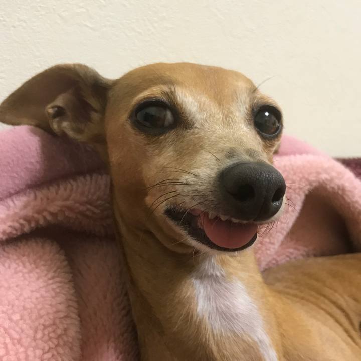 42780280 2ef4 4bfa b365 e2334a9c6c4a