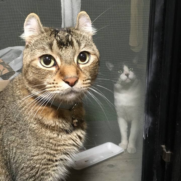 427885ef ffec 4c99 87a8 f561c58a361c