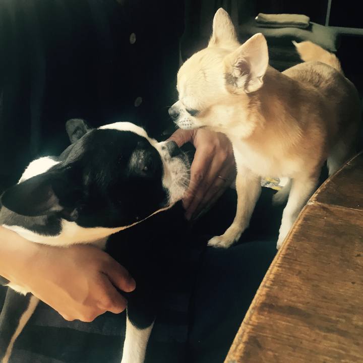 4278e327 693a 48d2 bcb3 84a25c5c7d55