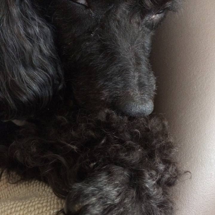 4278ecbb 9879 48cd ac15 0efd60e7196a